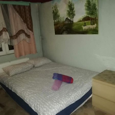 Room In Studio - Studio Nearby Central Station Anversa Esterno foto